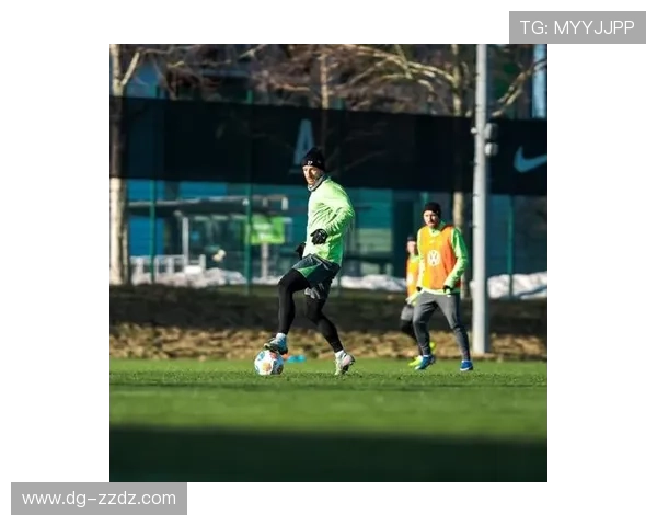 德甲鲍尔执教表现稳健，球队竞争力持续提升