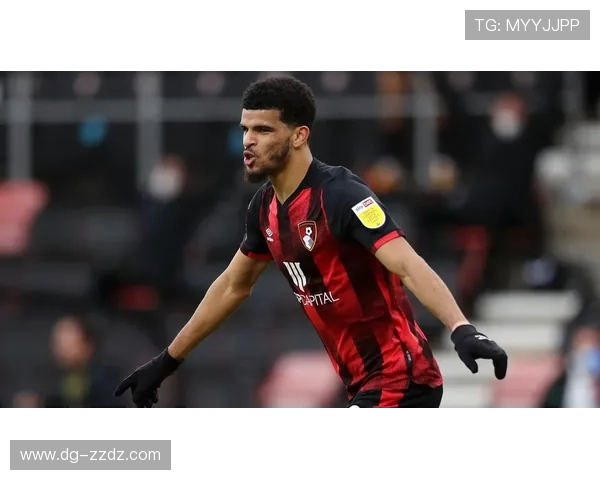 伯恩茅斯续约索兰克，锋线核心留队增强球队竞争力