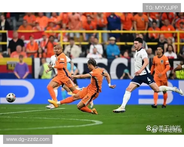 欧洲杯荷兰全攻
